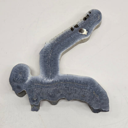 Blue Coral free form on an acrylic stand on a white background