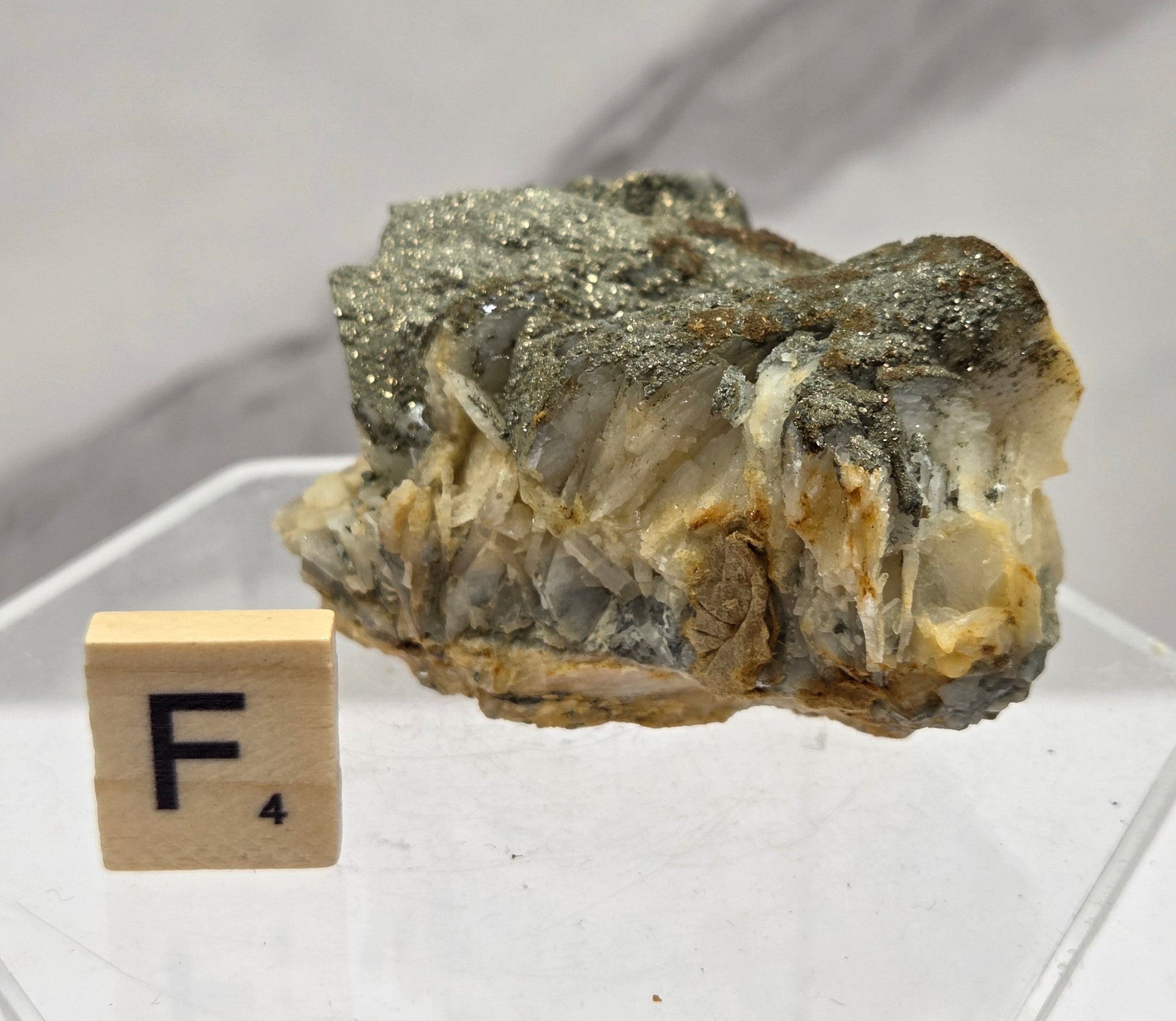 Mineral sample on a white background with a small wooden block labeled 'F'.