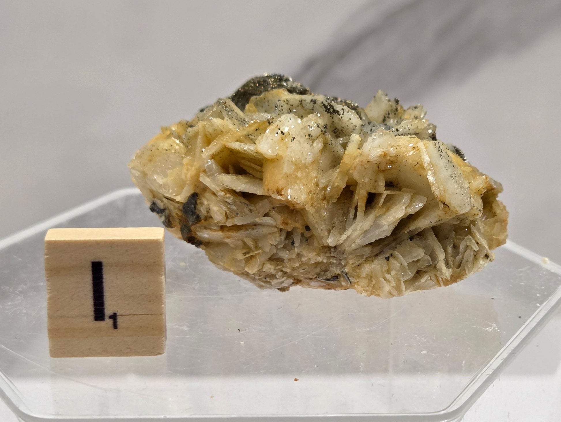 Mineral sample on a stand with a label against a light gray background
