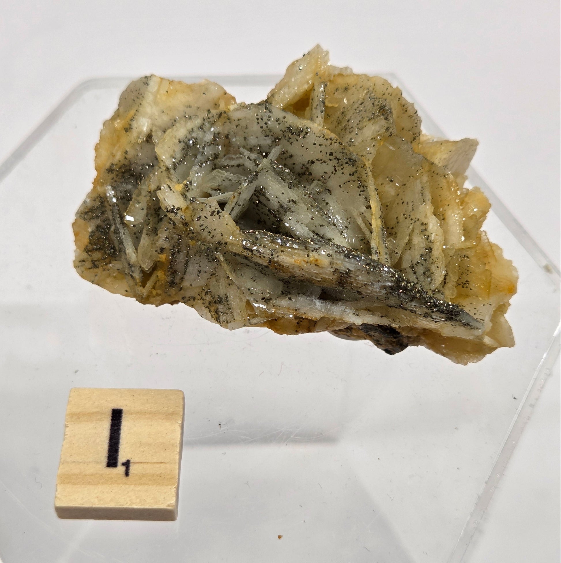 Mineral sample on a clear stand with a wooden label against a white background