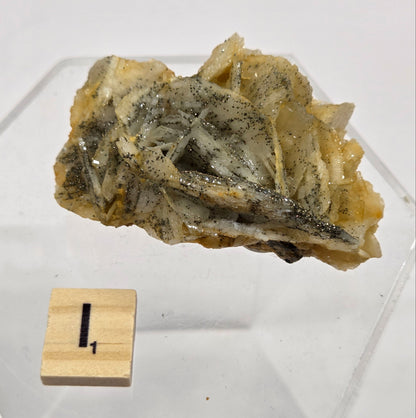 Mineral sample on a clear stand with a wooden label against a white background