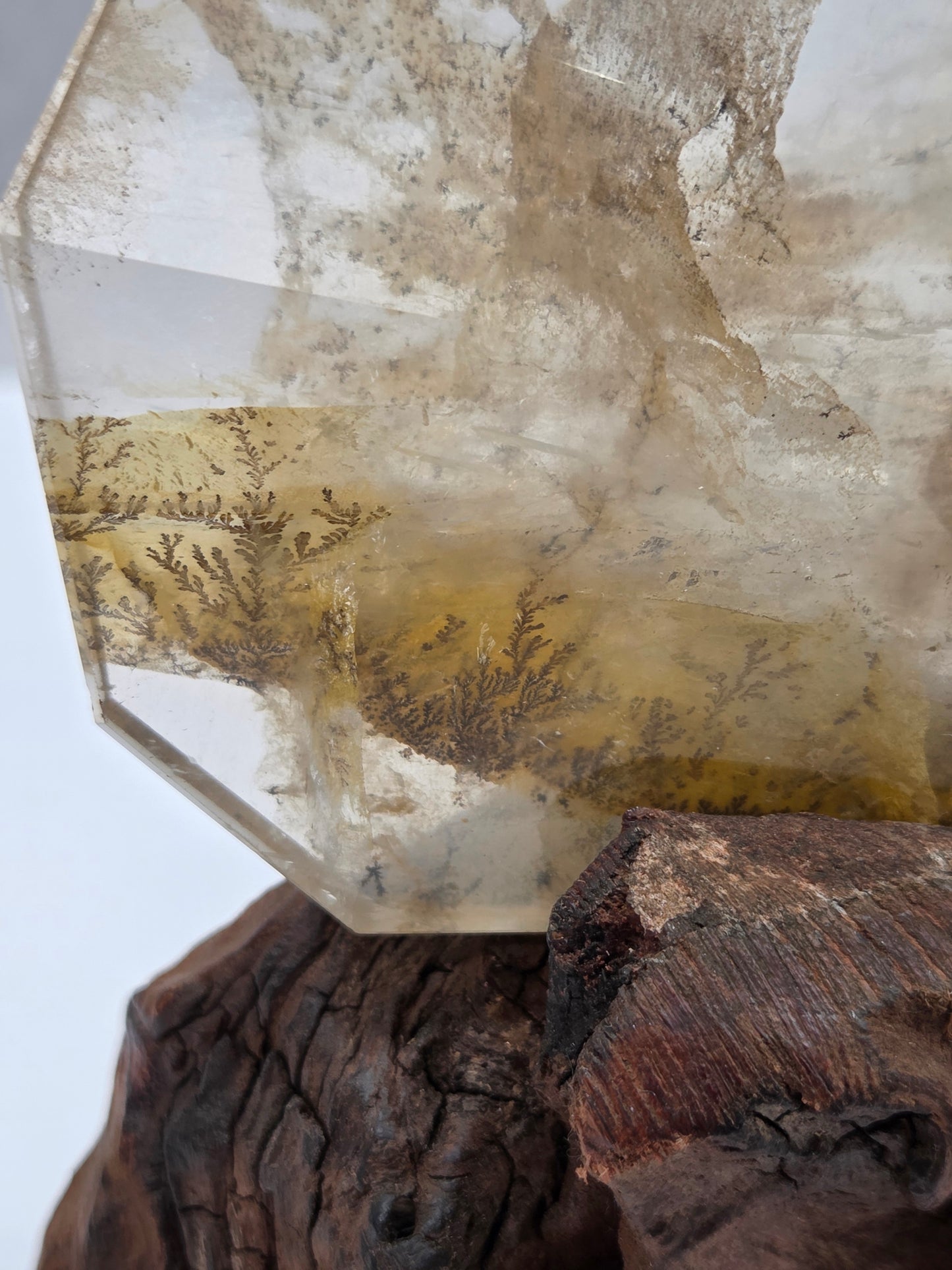 Close-up of a crystal with intricate patterns and a piece of wood.