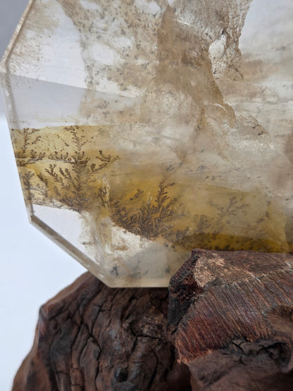 Close-up of a crystal with intricate patterns and a piece of wood.