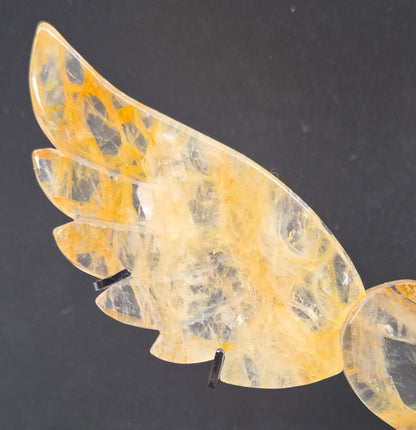 Decorative golden healer wings with a heart on a black stand against a gray background
