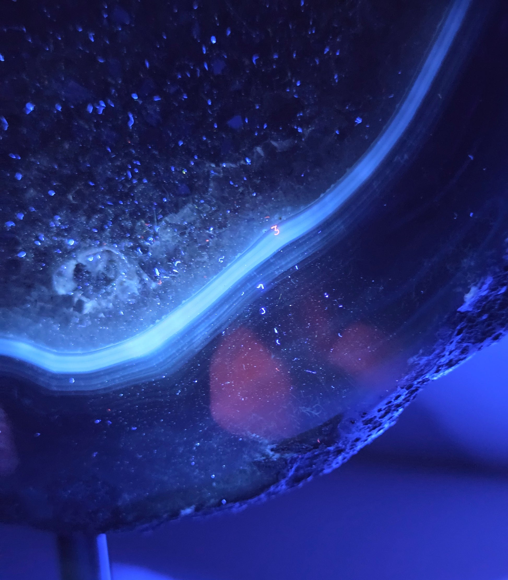 Amethyst and Agate round geode with white calcite inclusions under UV light