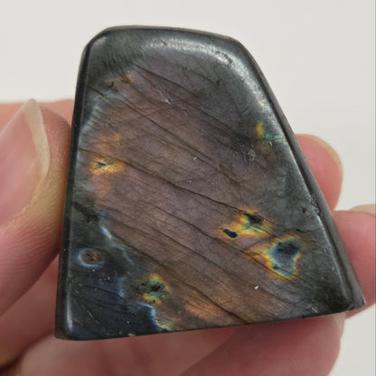 A polished Labradorite free form specimen being held by a hand showcasing a play of colors including blue, green, yellow, orange, red, and purple.
