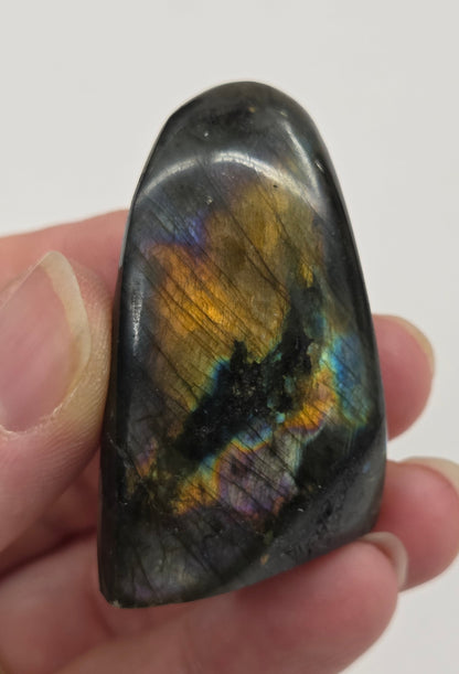 A polished Labradorite free form specimen being held by a hand showcasing a play of colors including blue, green, yellow, orange, red, and purple.