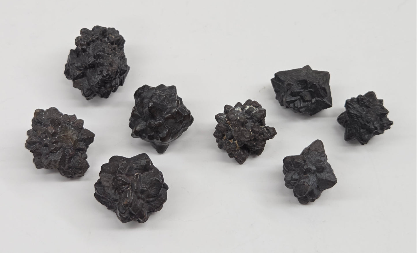 Prophecy stone specimens that have a starburst shape on a white background