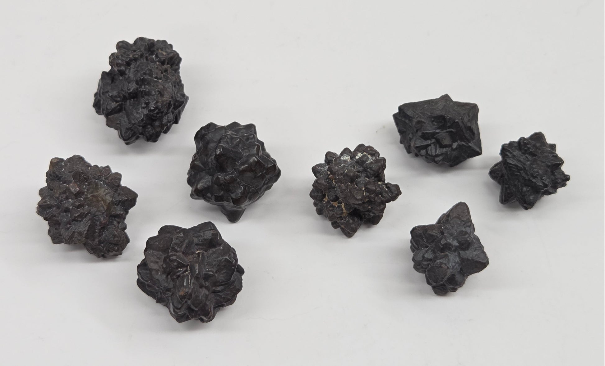 Prophecy stone specimens that have a starburst shape on a white background