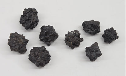 Prophecy stone specimens that have a starburst shape on a white background