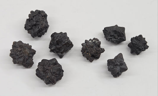 Prophecy stone specimens that have a starburst shape on a white background