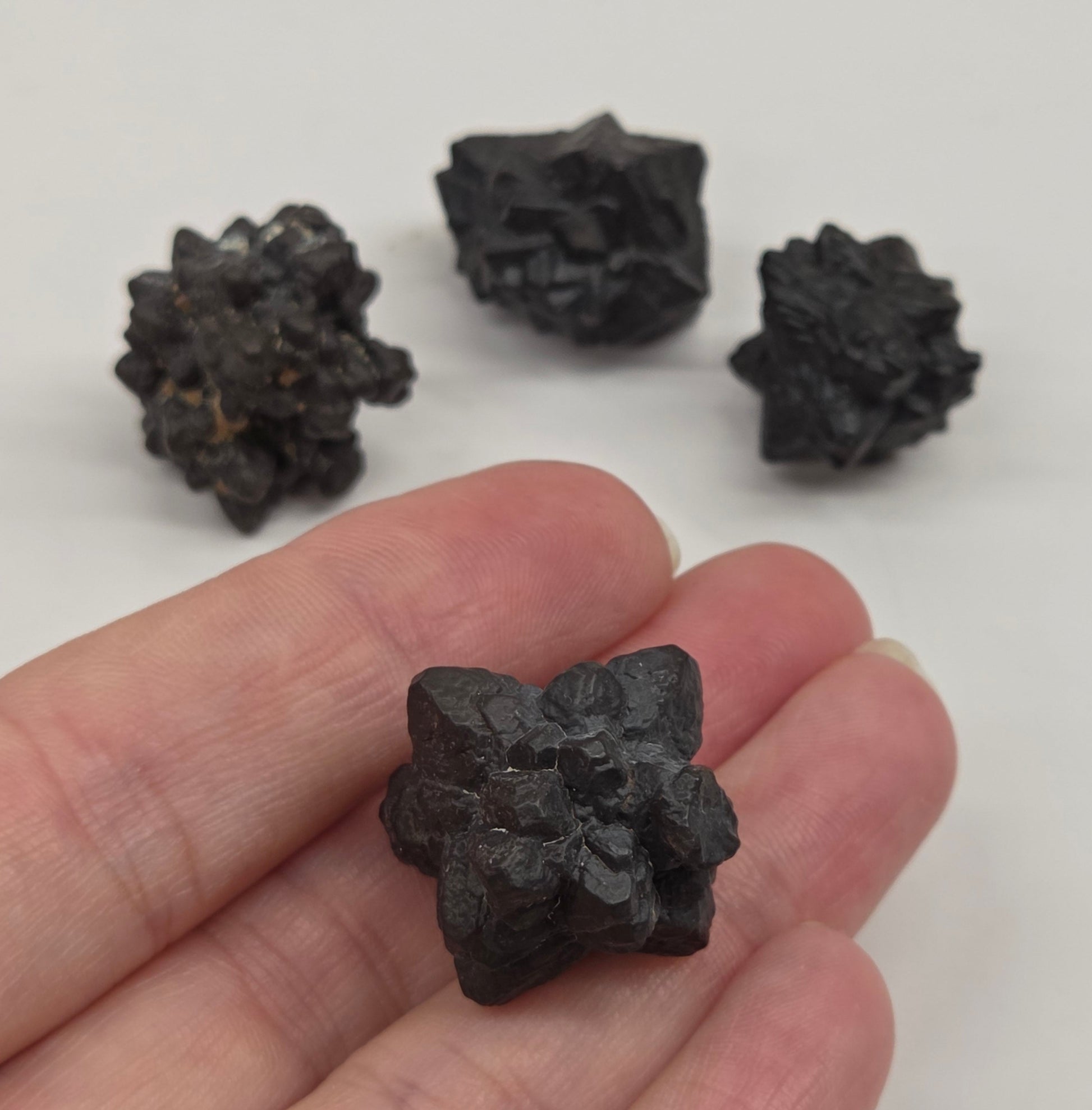 Prophecy stone specimens that have a starburst shape on a white background