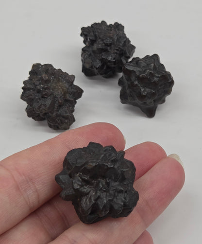 Prophecy stone specimens that have a starburst shape on a white background