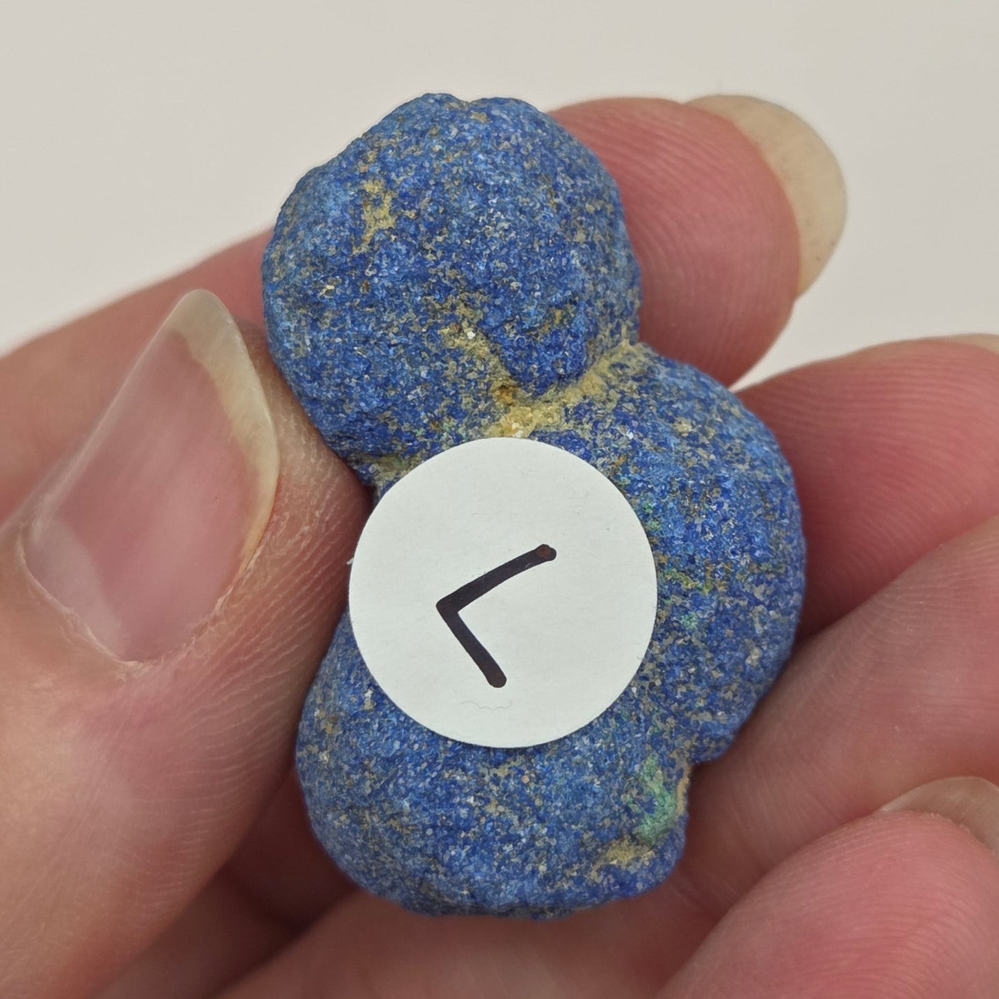 Azurite specimens on a white background