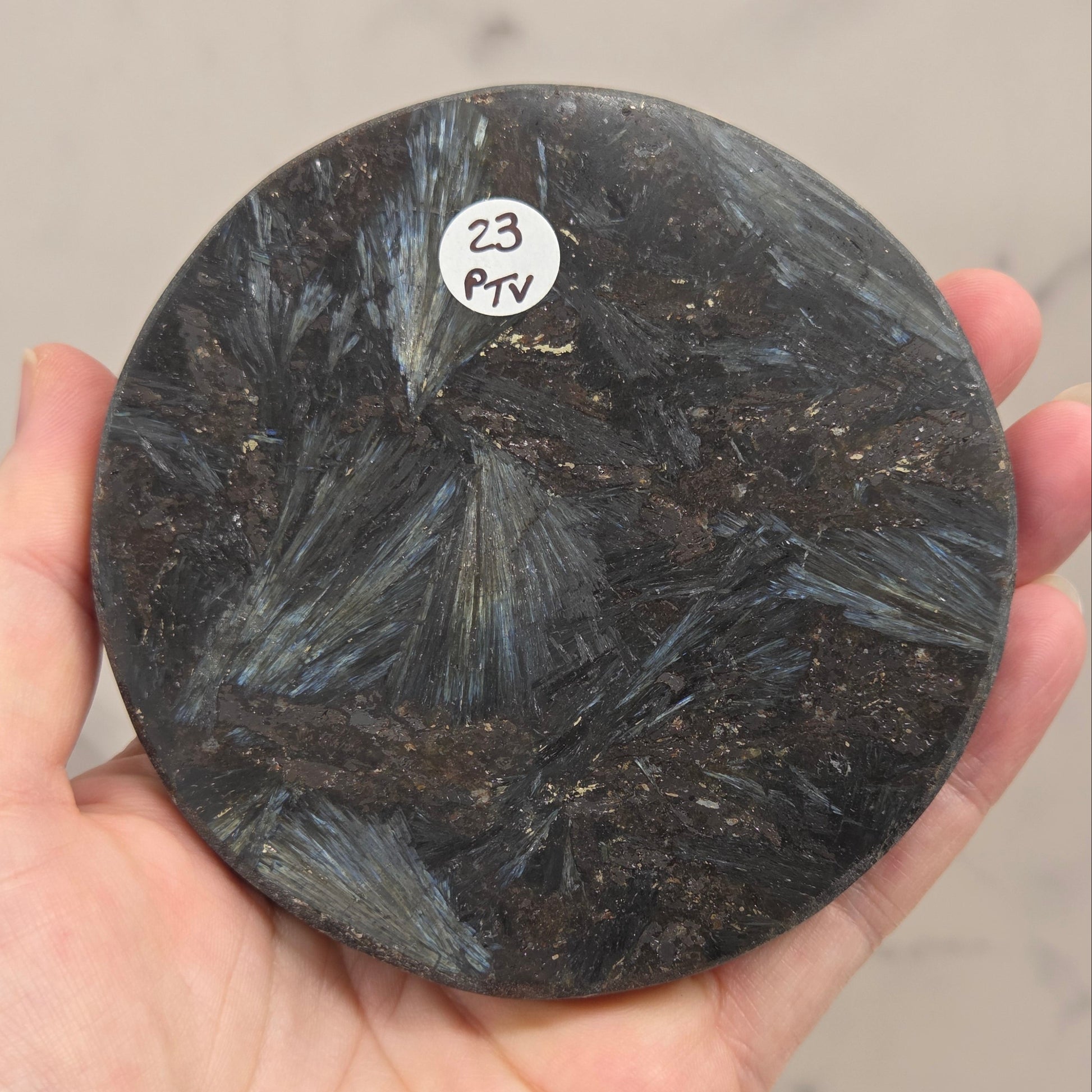 Astrophyllite round carving with varying colors on an acrylic stand on a wood stand against a white background