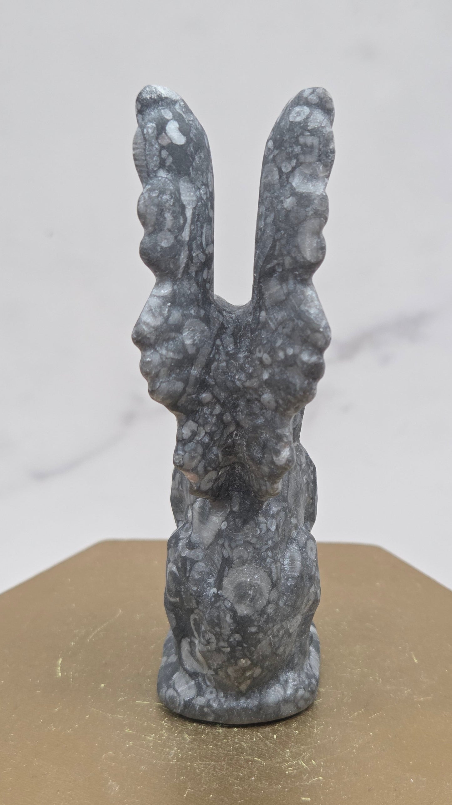 Crinoid Fossil Jasper griffon carving on a wood stand against a white background