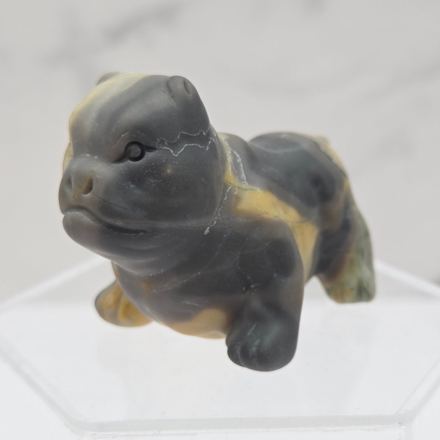 Black and yellow Jasper pit bull dog style carving on an acrylic shelf