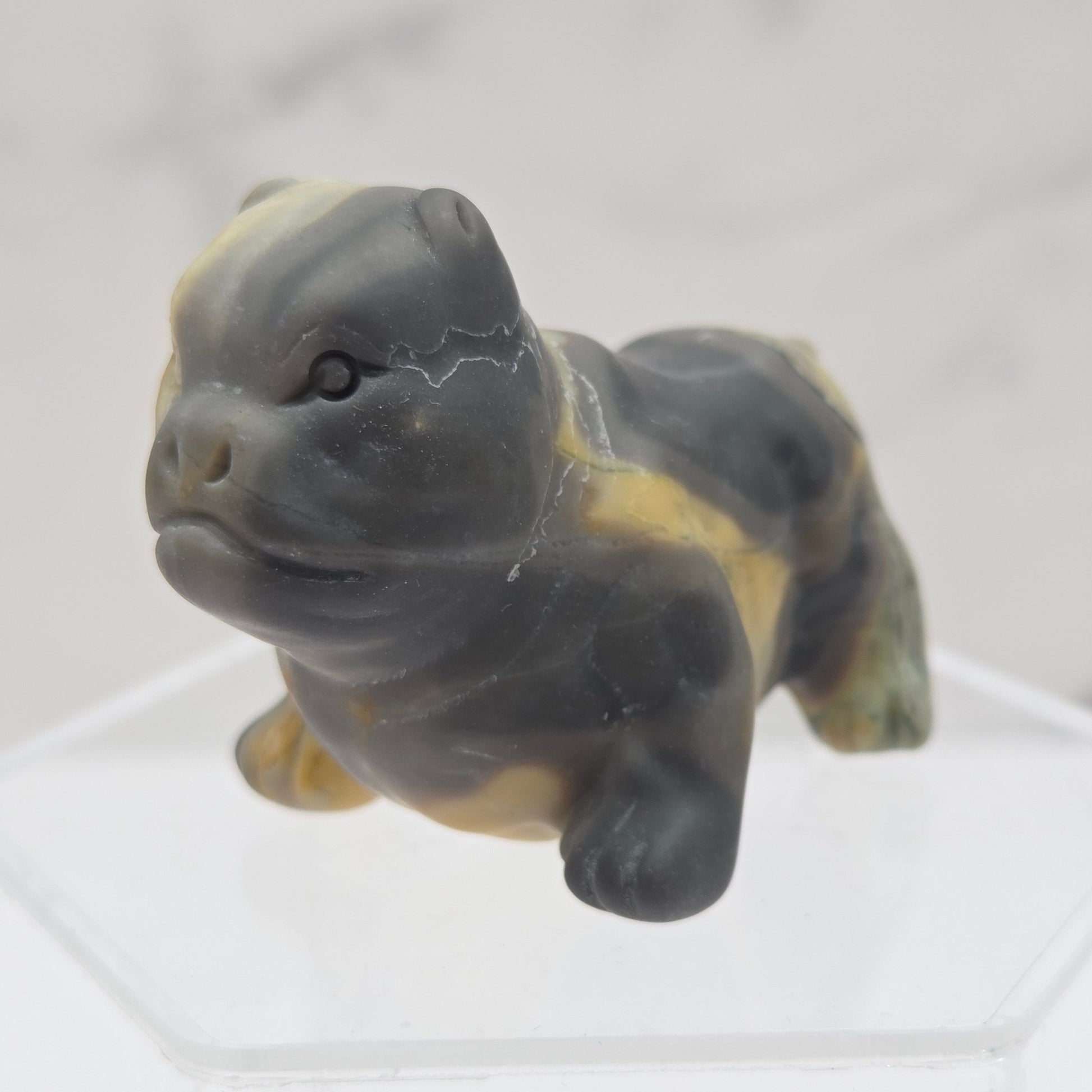 Black and yellow Jasper pit bull dog style carving on an acrylic shelf