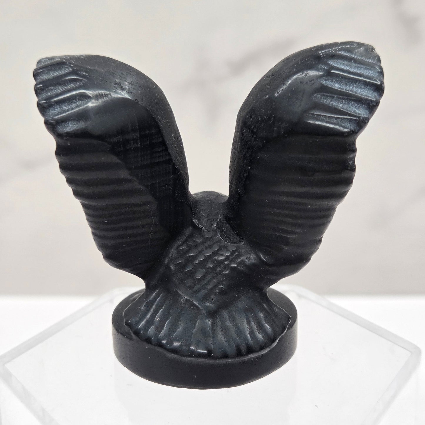 Decorative black winged object on a white background