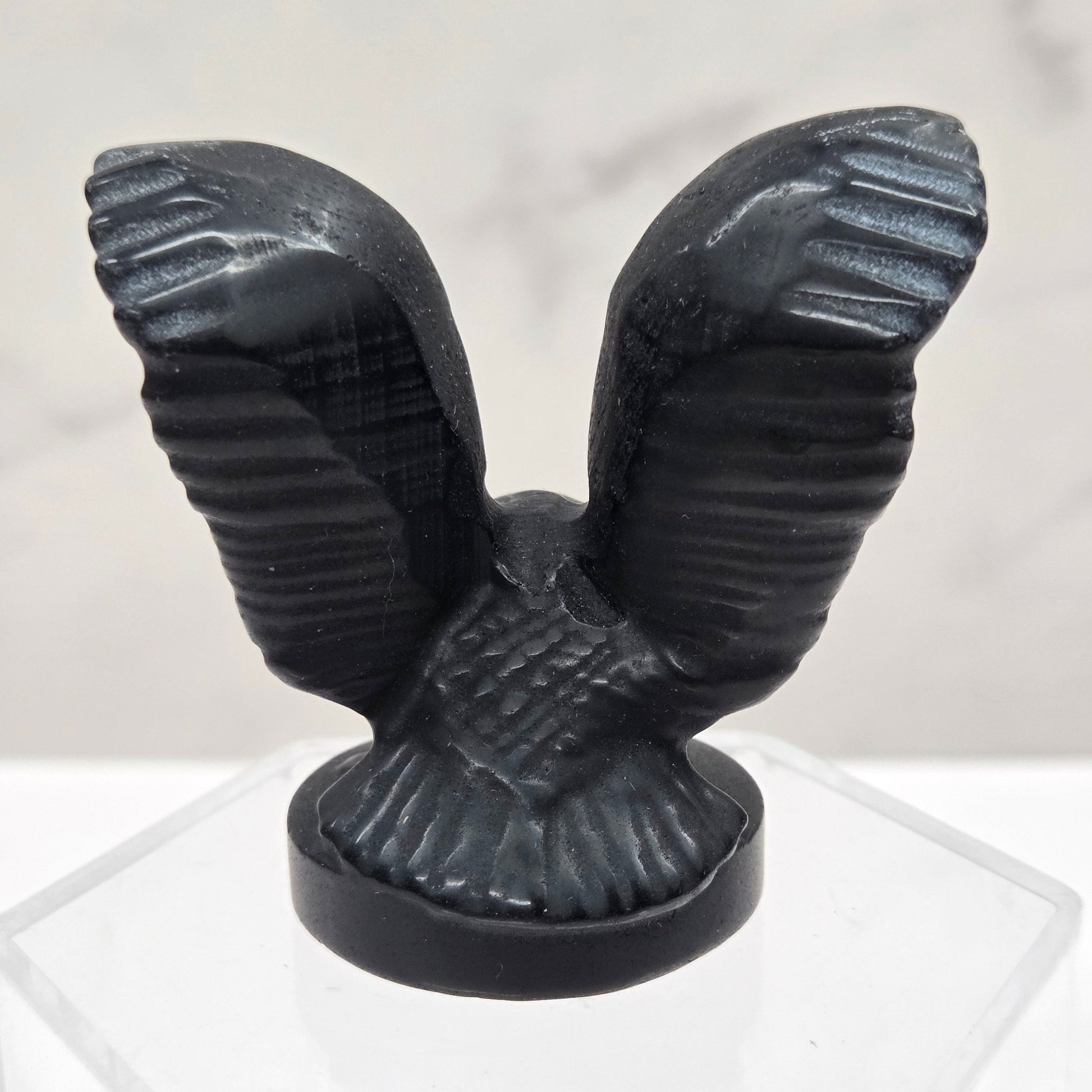 Decorative black winged object on a white background