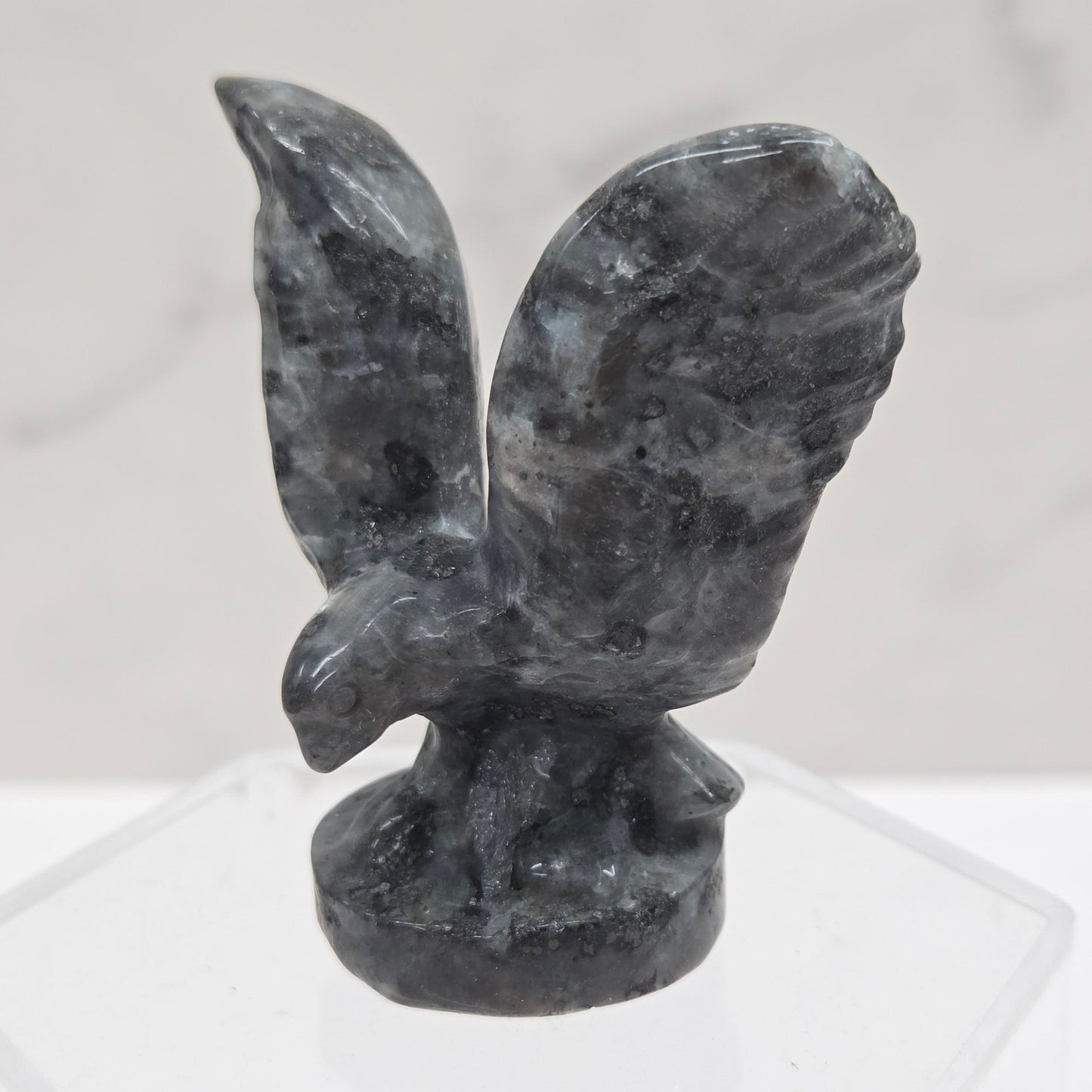 Decorative black winged object on a white background
