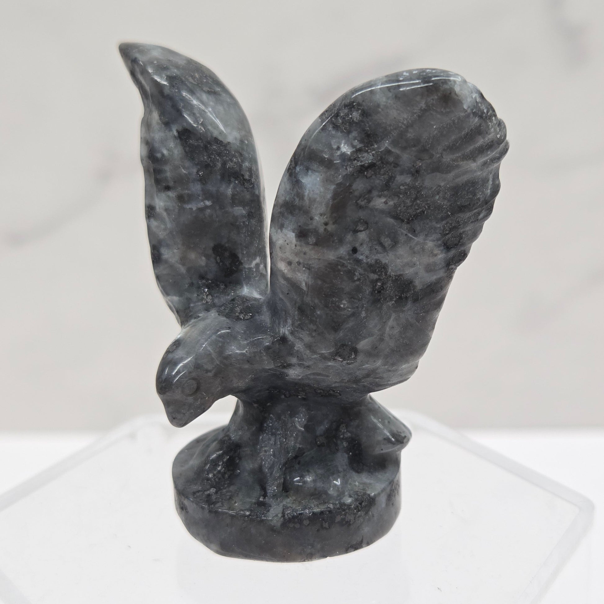Decorative black winged object on a white background