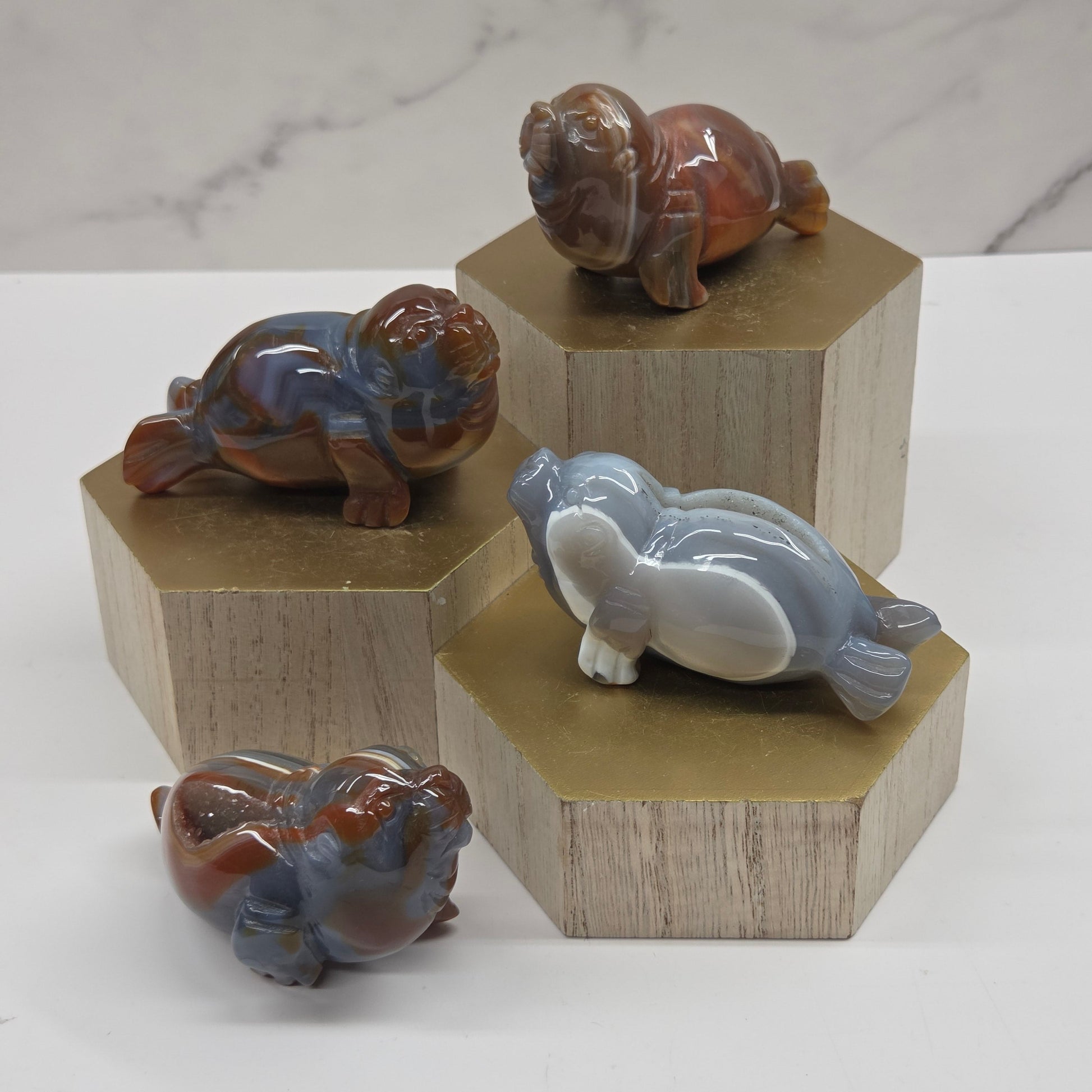 Multi-colored agate walrus carvings on a wood stand against a neutral background