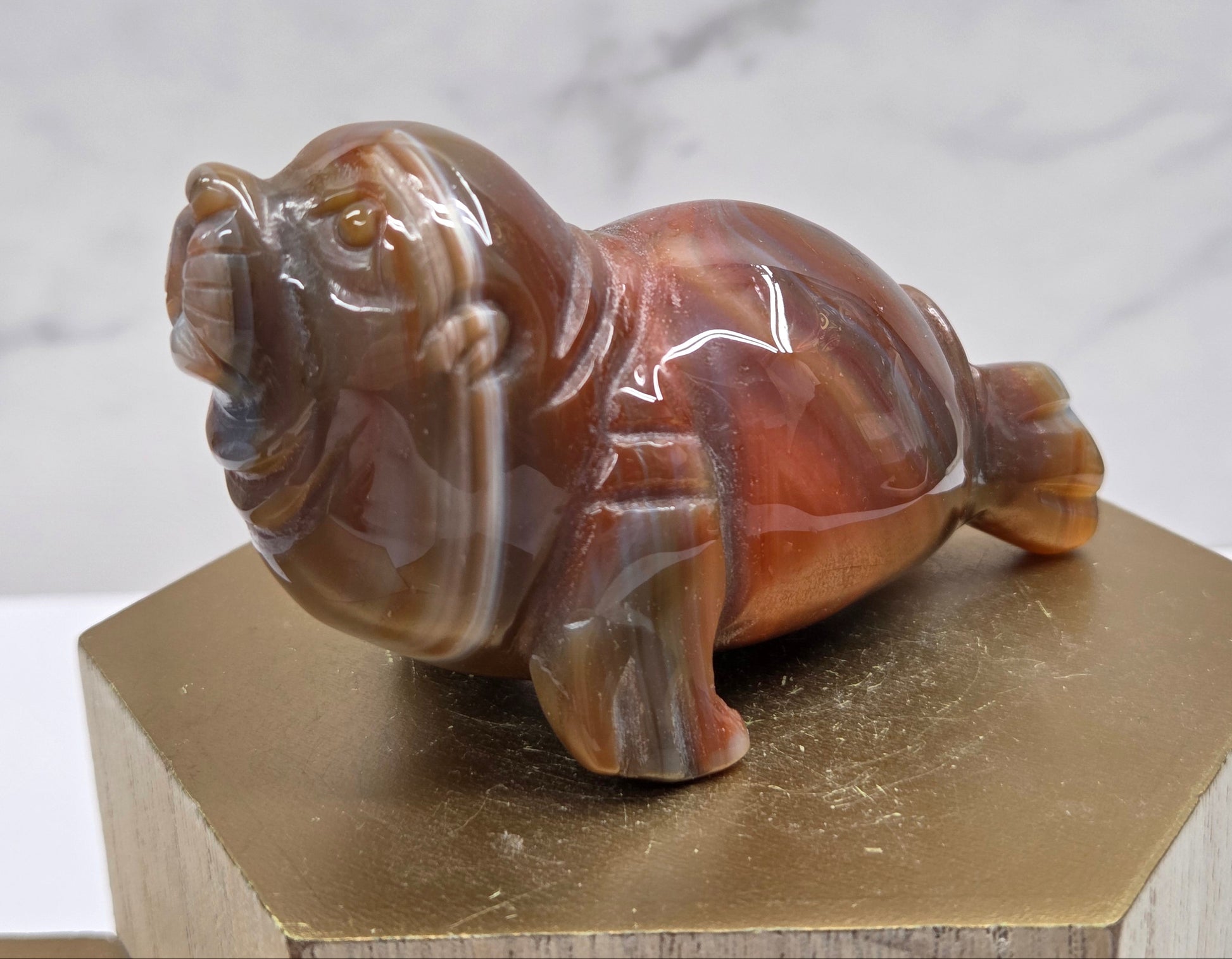 Brown and beige crystal sculpture of a walrus on a hexagonal base with a marble background