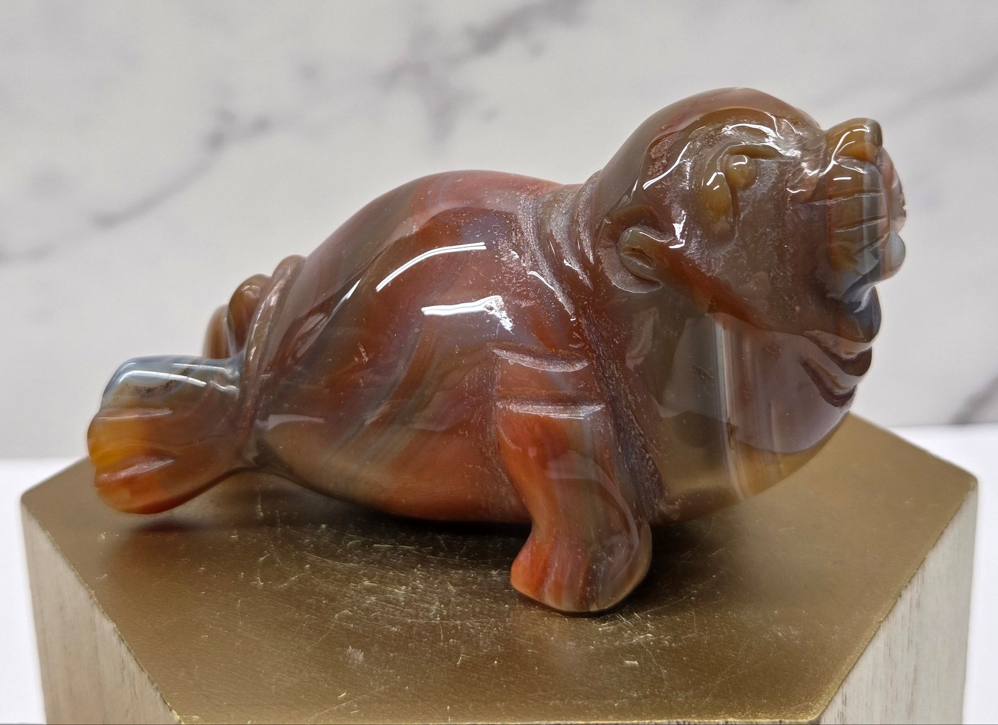 Brown and beige crystal sculpture of a walrus on a hexagonal base with a marble background