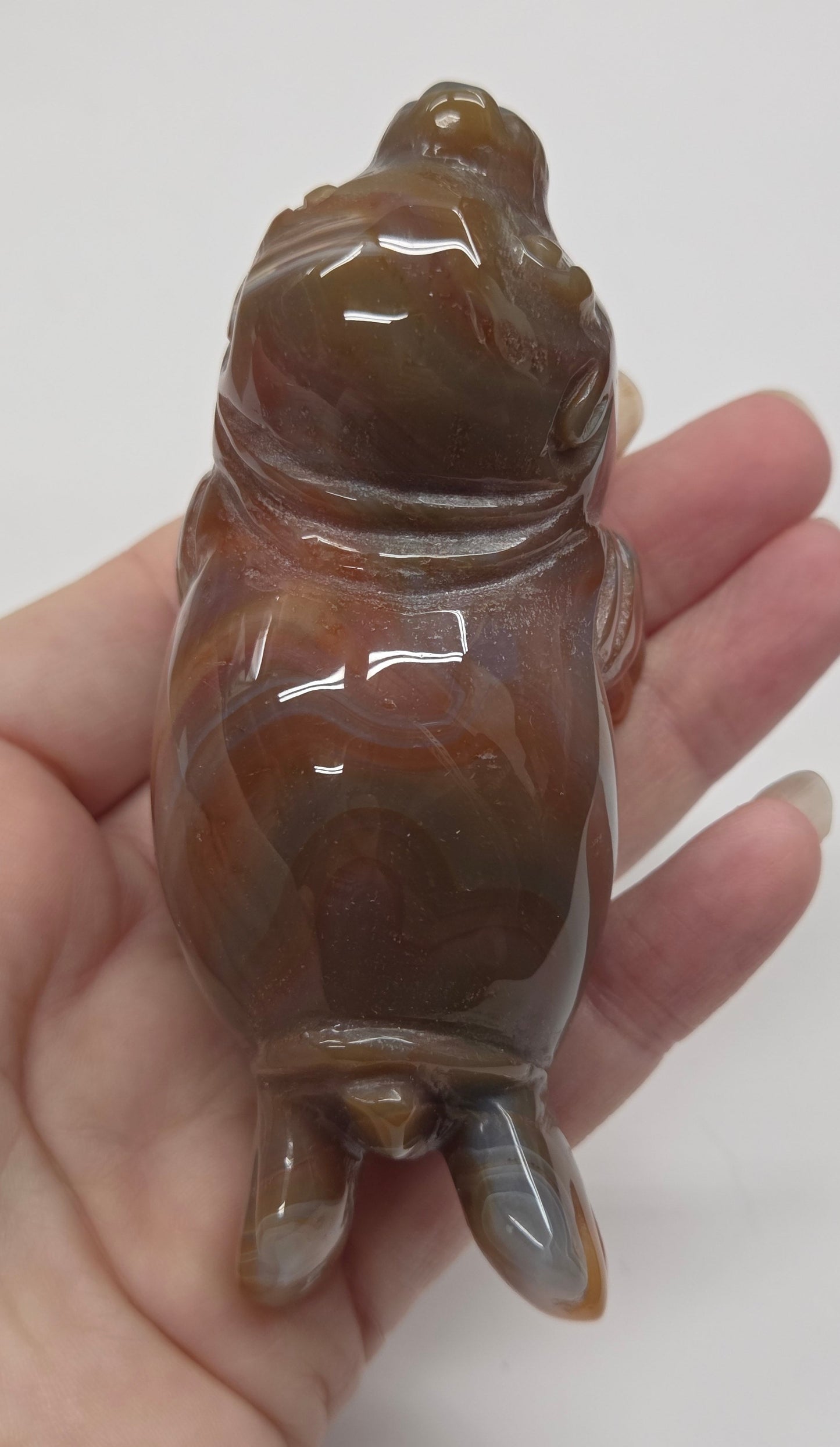 Hand holding a polished brown stone with a white center against a plain background