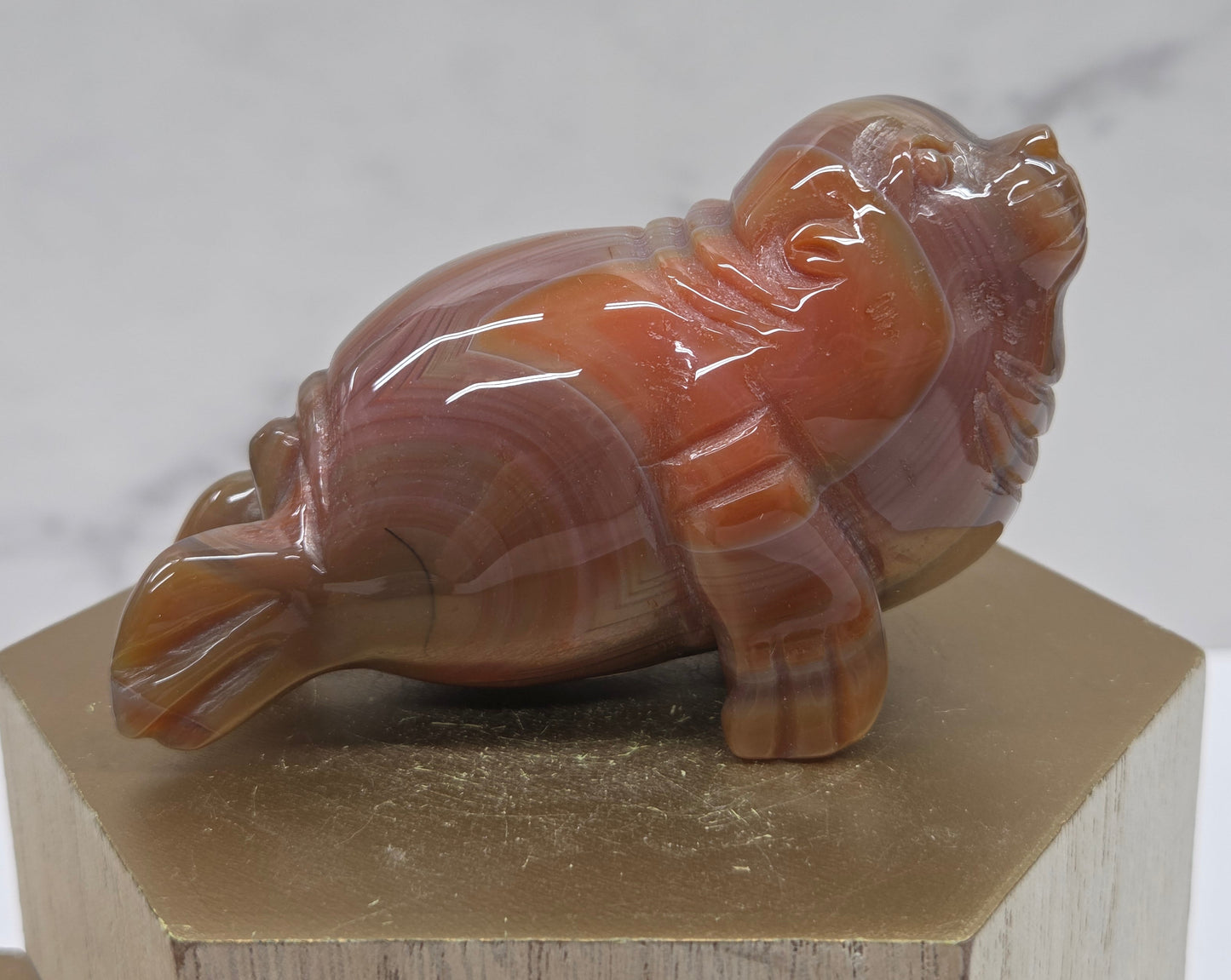 Brown and grey crystal sculpture of a walrus on a hexagonal base with a marble background