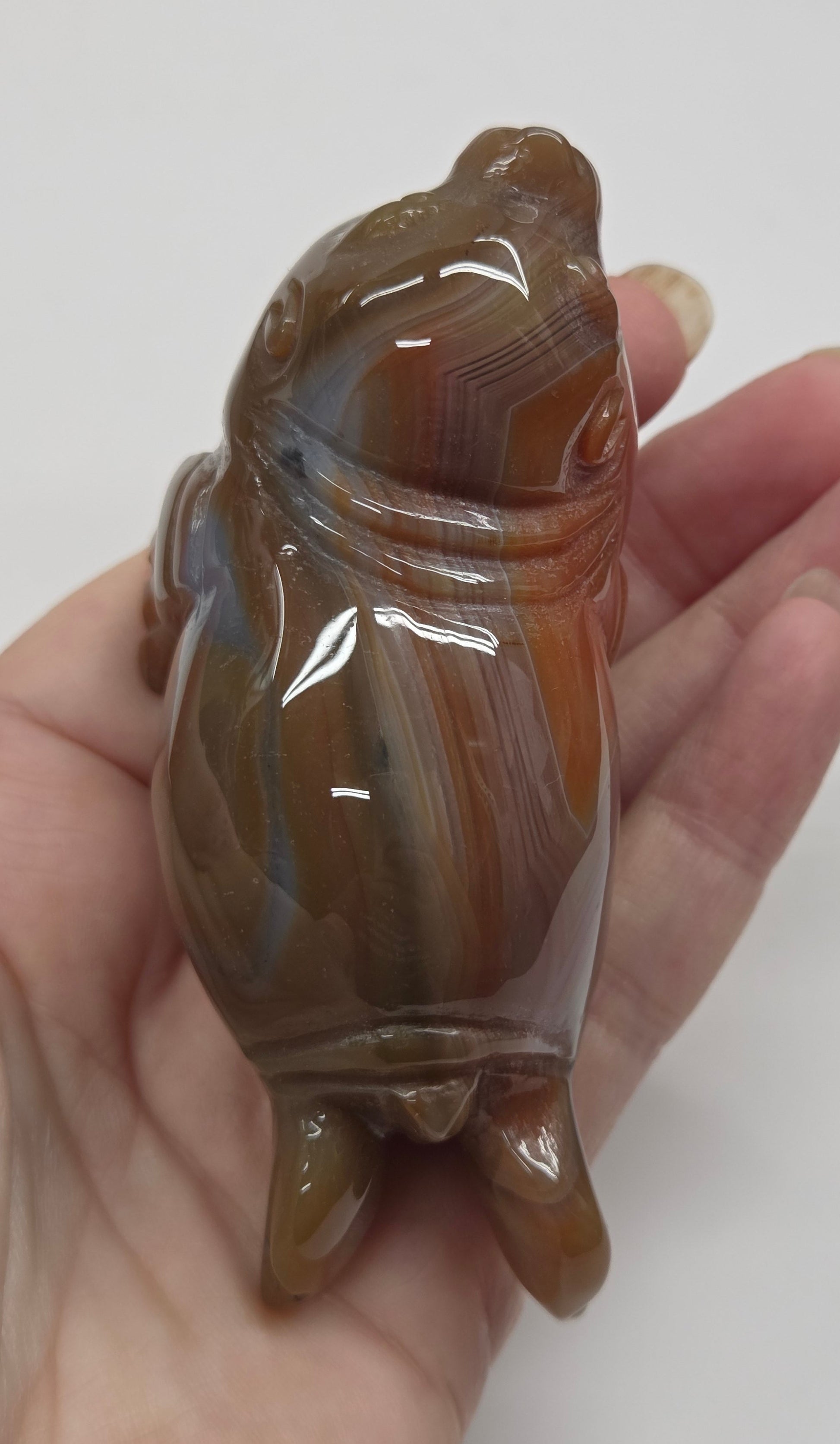 Hand holding a polished agate stone against a white background