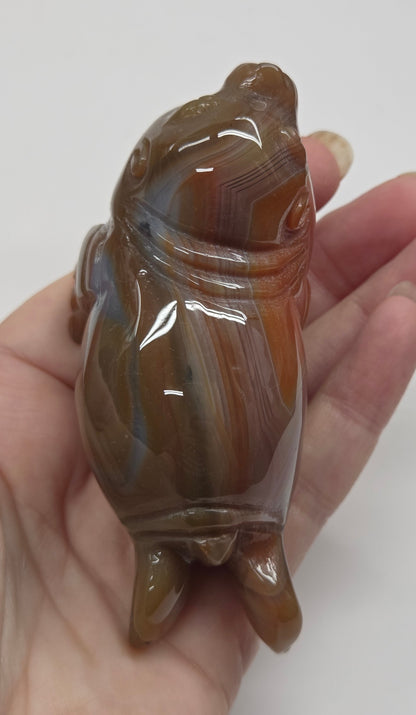 Hand holding a polished agate stone against a white background