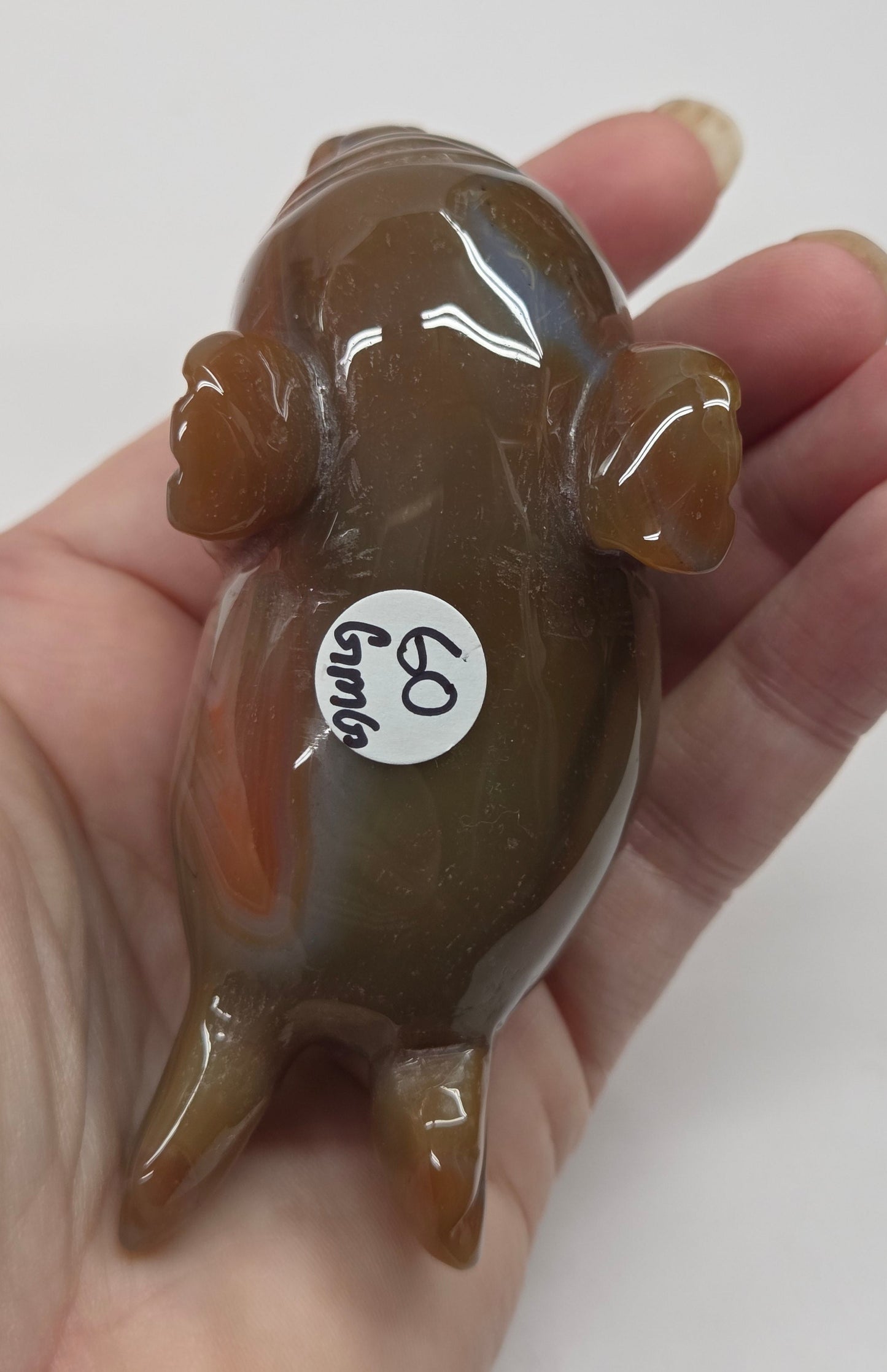 Hand holding a small brown animal figurine with a white label on a plain background