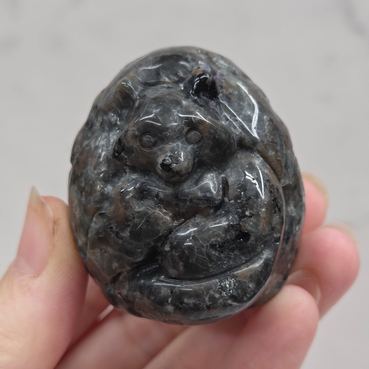 Hand holding a dark gray stone with intricate carvings on a light background