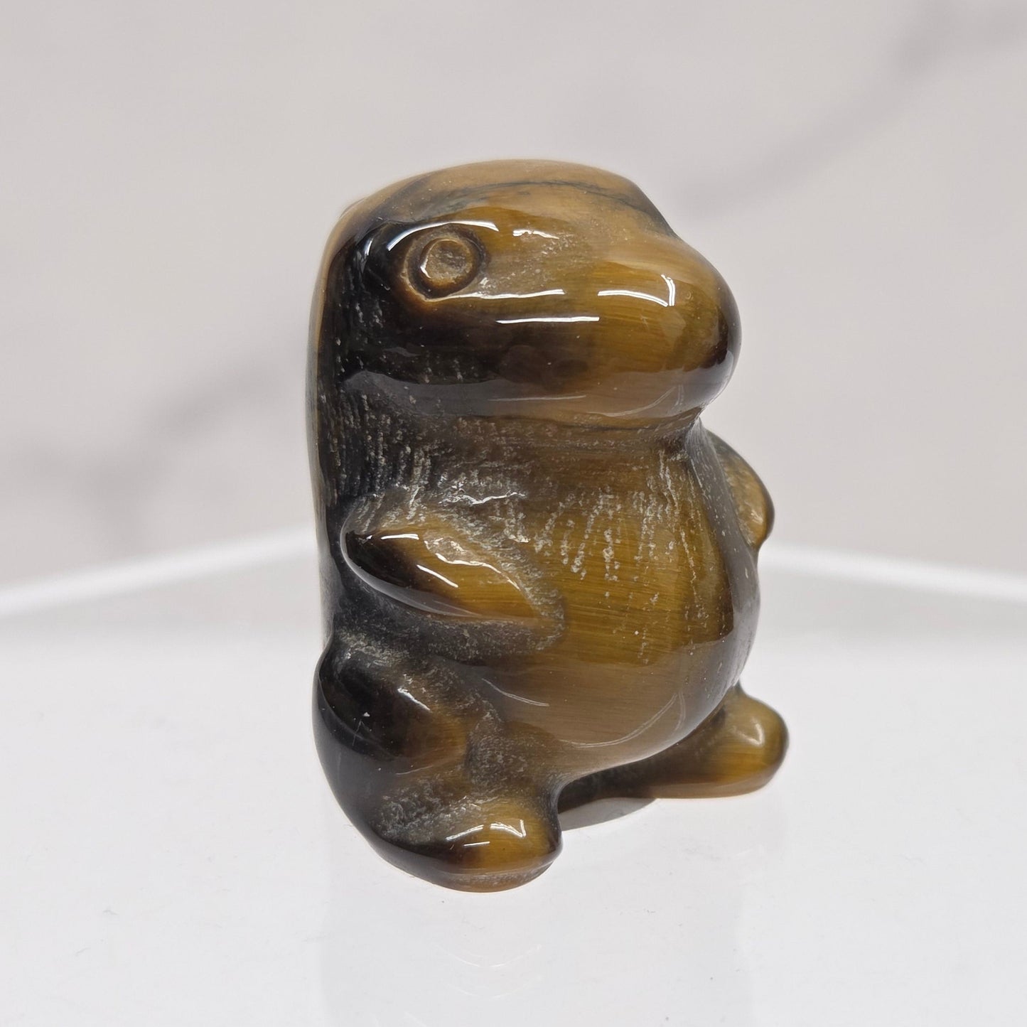 Tigers Eye chubby belly dinosaur on a white background