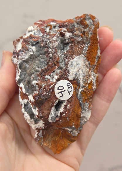 Hand holding a rock with a label, against a neutral background