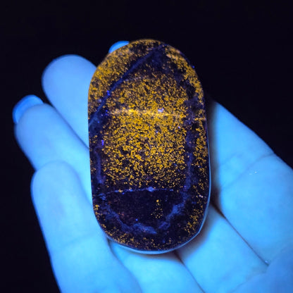 Hand holding a dark blue stone with yellowish crystals under a black light