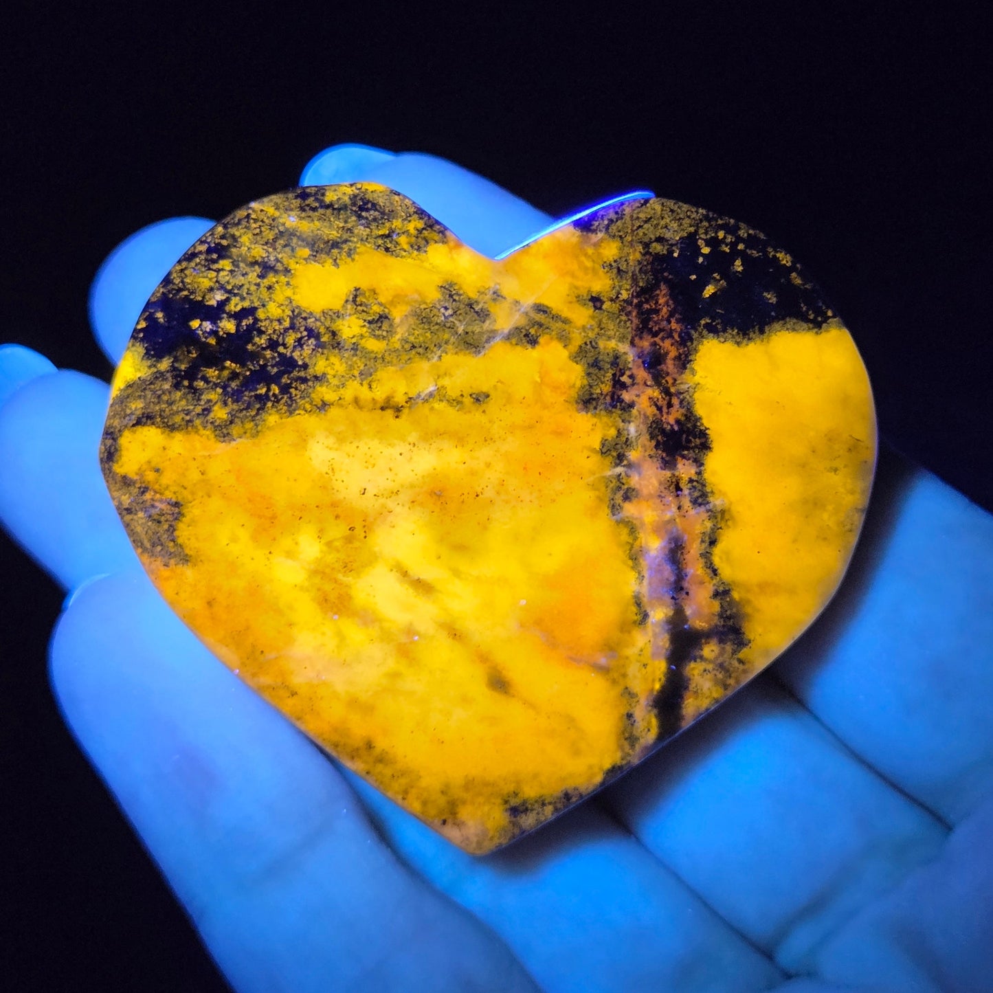 Heart-shaped object with yellow speckles under black light, held by a gloved hand.