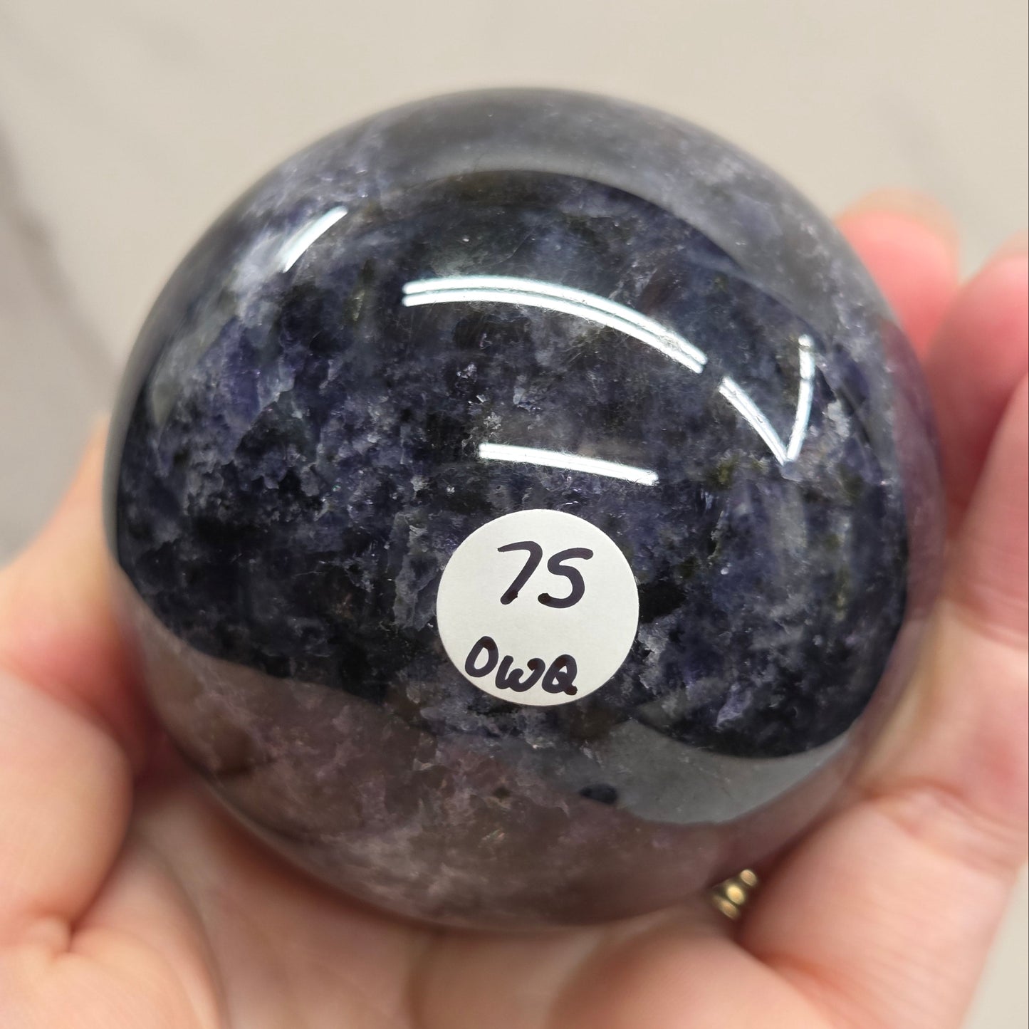 Hand holding a dark purple stone with white markings and numbers.