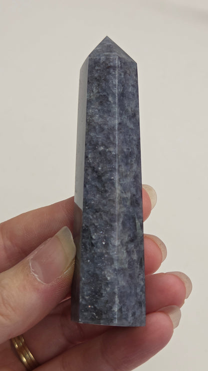 Hand holding a dark-colored crystal prism against a plain background