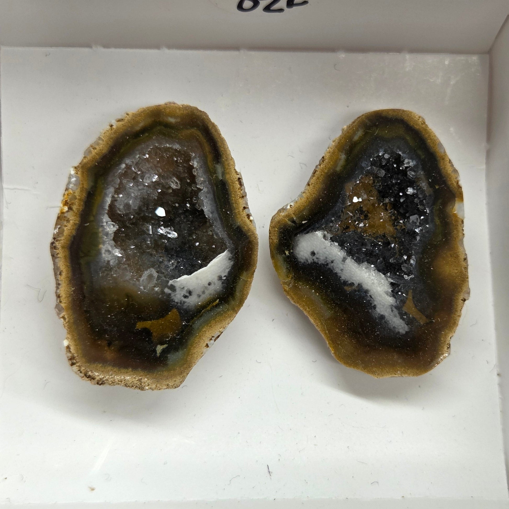 Set of geode crystals in a small white box