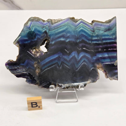 Banded fluorite slabs on a stand against a neutral background