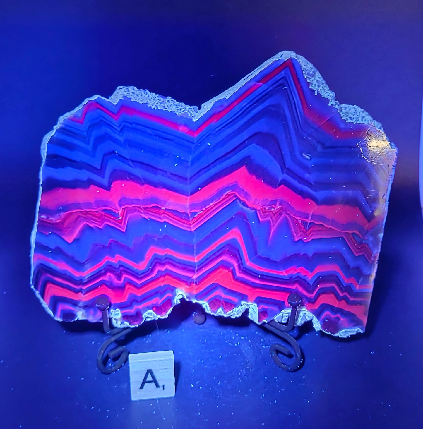 Banded fluorite slab under UV light on a stand against a neutral background