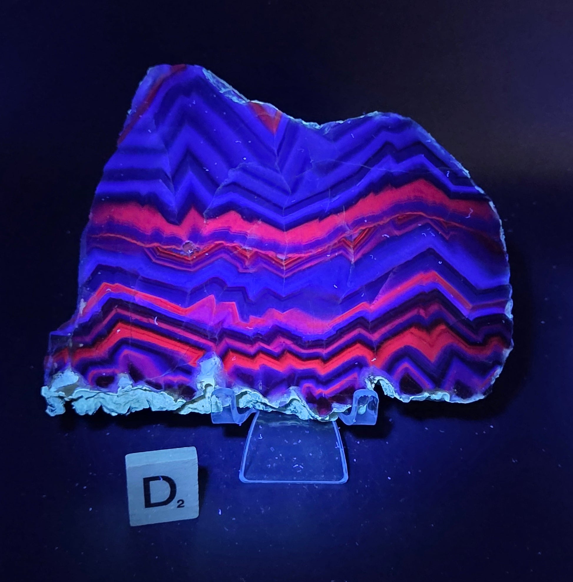 Banded fluorite slab under UV light on a stand against a neutral background