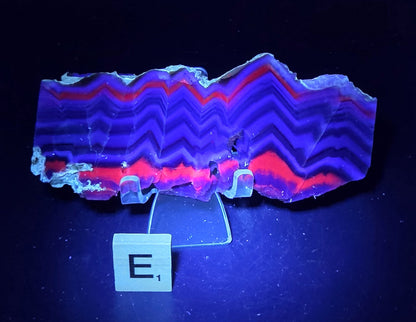 Banded fluorite slab under UV light on a stand against a neutral background