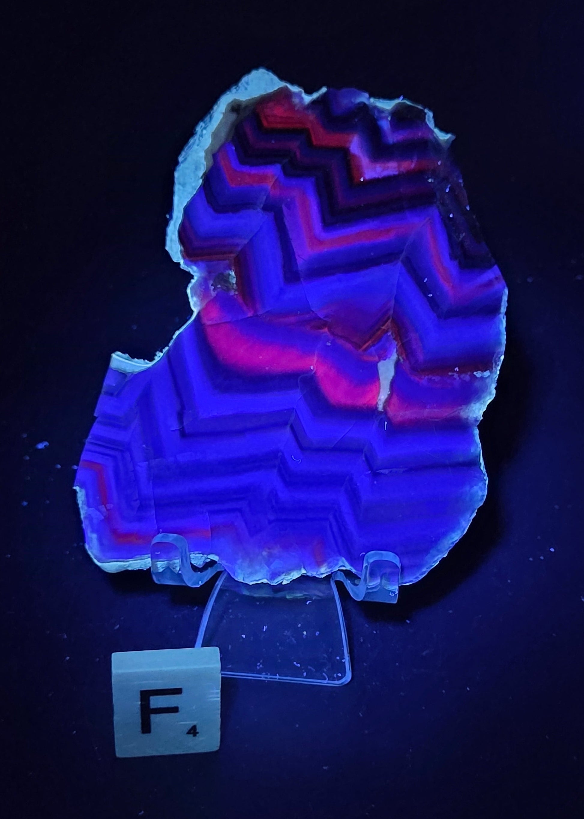 Banded fluorite slab under UV light on a stand against a neutral background