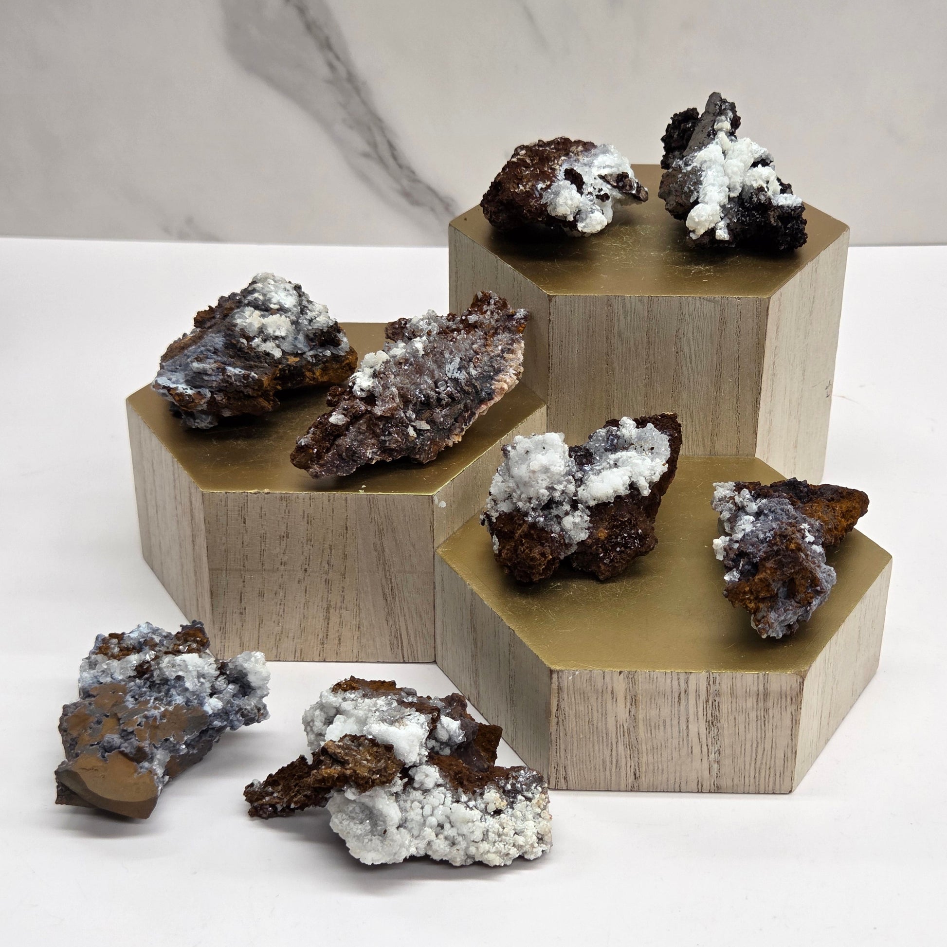 Specimens on a wooden stand against a neutral background