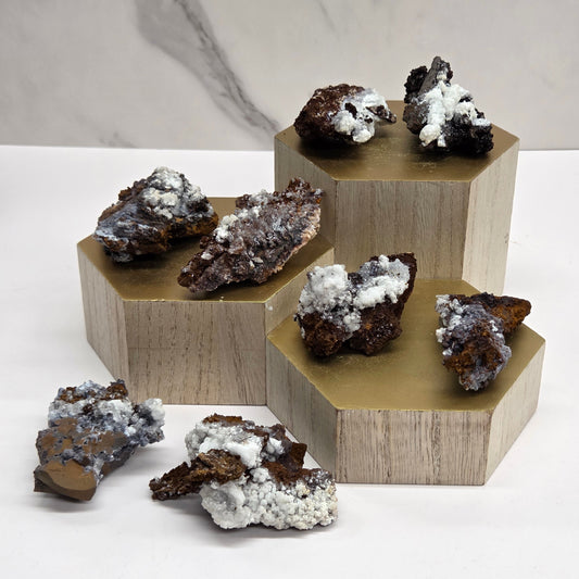 Specimens on a wooden stand against a neutral background