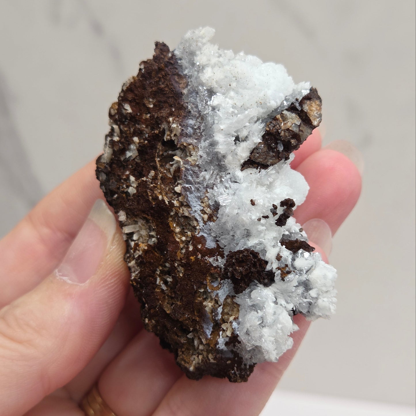 Hand holding a piece of dark rock with white crystals